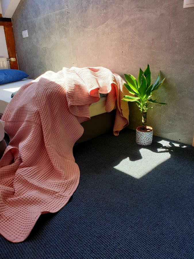 Japanese Style Centrum 里加 外观 照片